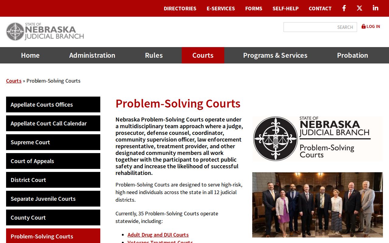 Howard County criminal docket problem-solving court program overview